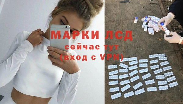 хмурый Зеленокумск