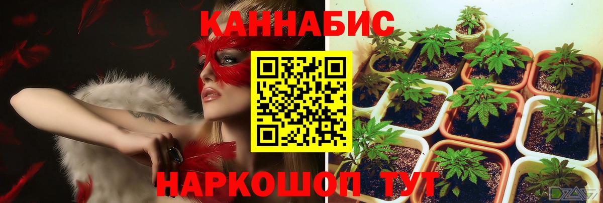 Воронеж  Конопля конопля  Бошки Шишки семена  Каннабис Amnesia  Вход с VPN 
